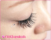 �܂�eyelash