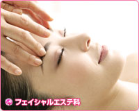 �t�F�C�V�����G�X�e��